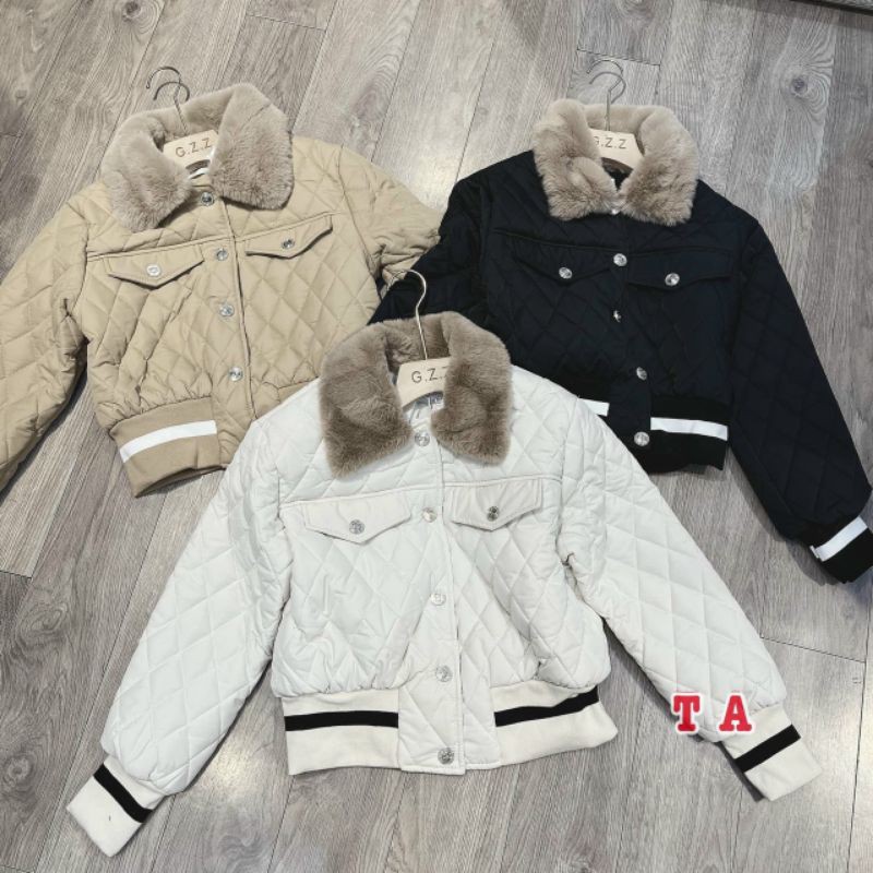 Phao trám viền gấu