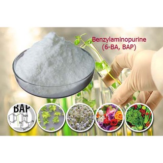Cytokinin - 6BA 99% (Siêu kích chồi, bật búp) Gói 100gr
