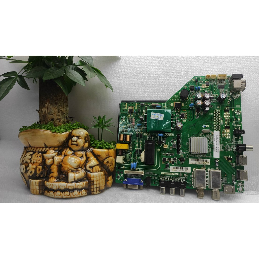 BO ASANZO CÁC LOẠI