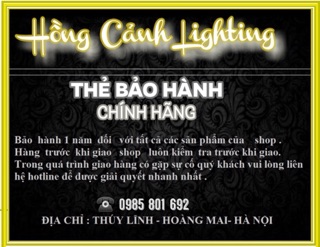 Đèn Thả Trần Hiện Đại-Đèn Led