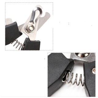 BỘ KỀM CẮT MÓNG CHÓ MÈO + DŨA