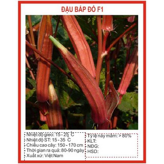 ( BOK GARDEN ) HẠT GIỐNG ĐẬU ĐỎ BẮP 5GR
