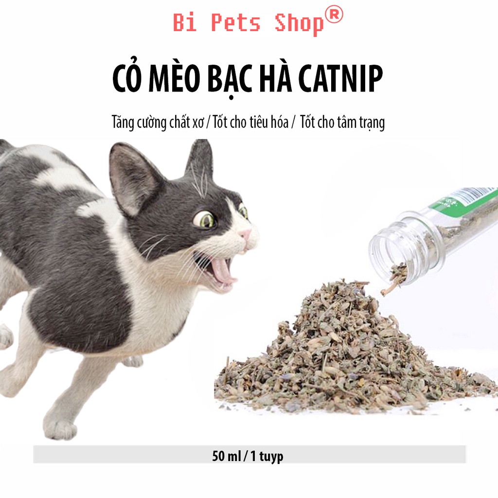 Cỏ Mèo Bạc Hà Catnip - Cỏ Thơm Cho Mèo  Tăng Cường Chất Xơ - Tốt Cho Tiêu Hóa - Tâm Trạng Vui Vẻ  45ml /1