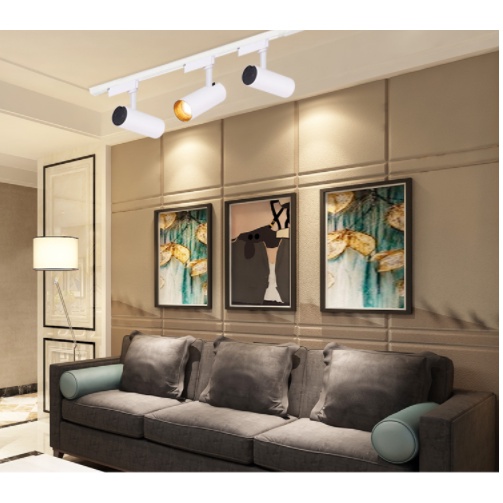 Đèn Rọi Ray COB Ống Bơ 20W, 30W Mã Y13