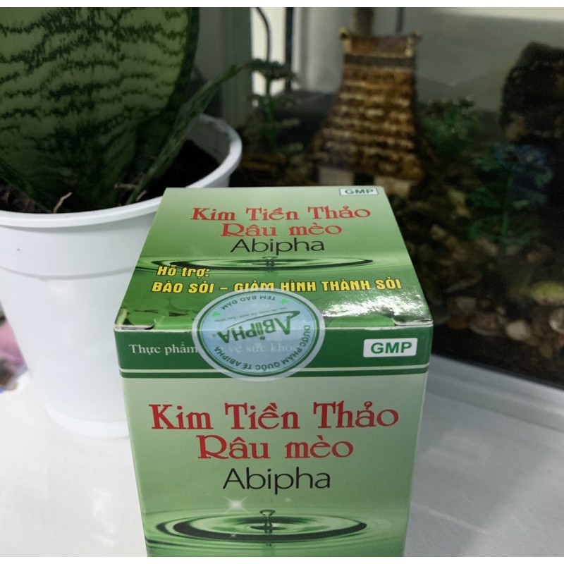 Kim tiền thảo Râu Mèo Abipha hỗ trợ giảm sỏi đường tiết niêu: sỏi thận, sỏi mật, sỏi bàng có quang, sổ niệu quản