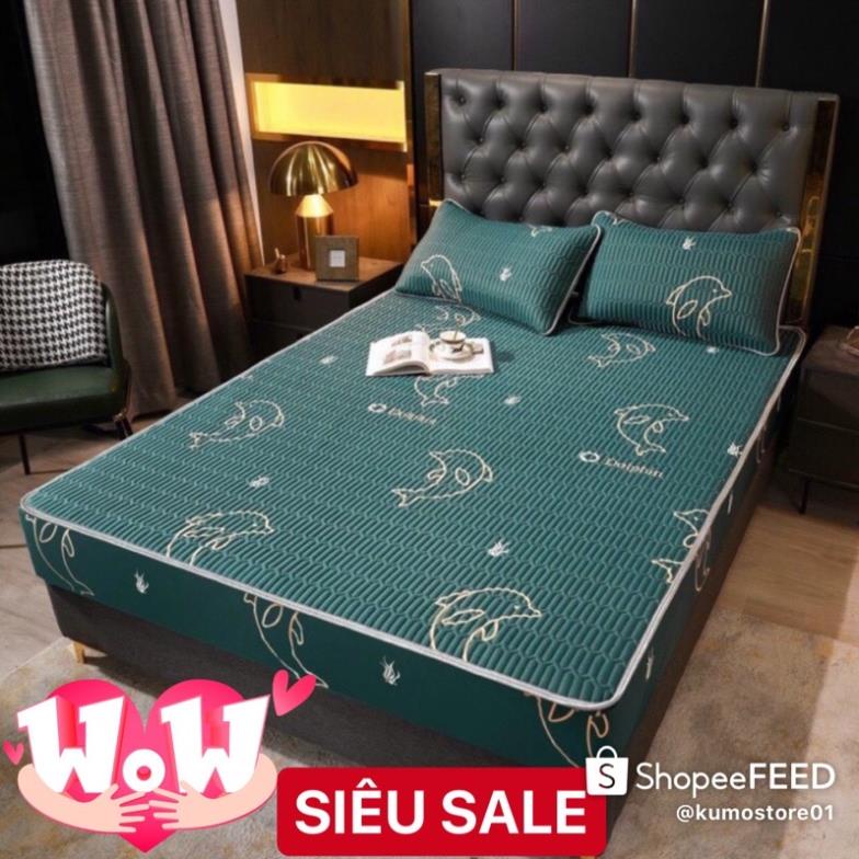 CHIẾU ĐIỀU HÒA CAO SU NON LATEX 3D MẪU BO CHUN hàng loại 1 dày 2kg trở lên