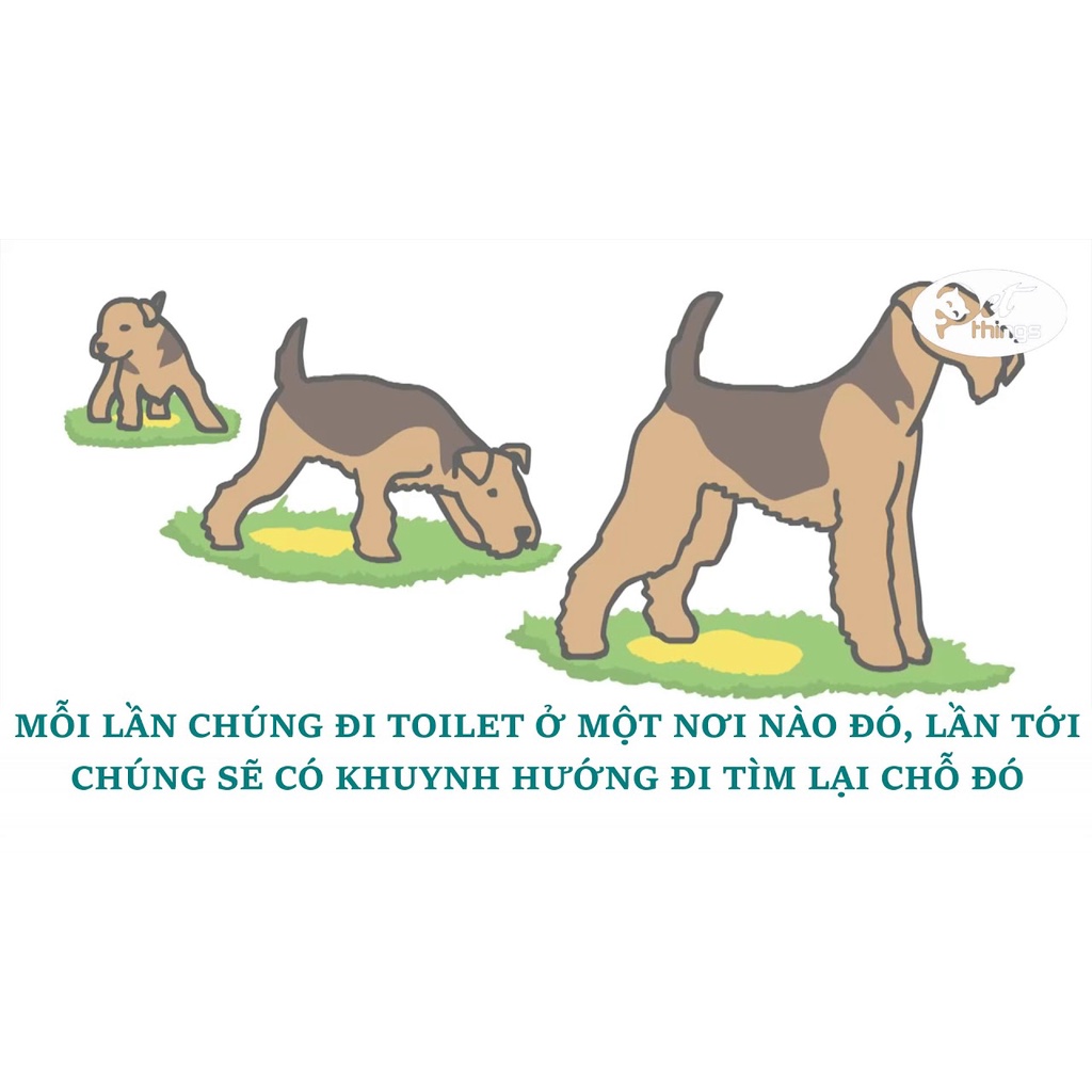 Xịt hướng dẫn chó mèo đi vệ sinh đúng chỗ