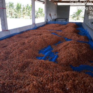 Hộp bảo quản thực phẩm