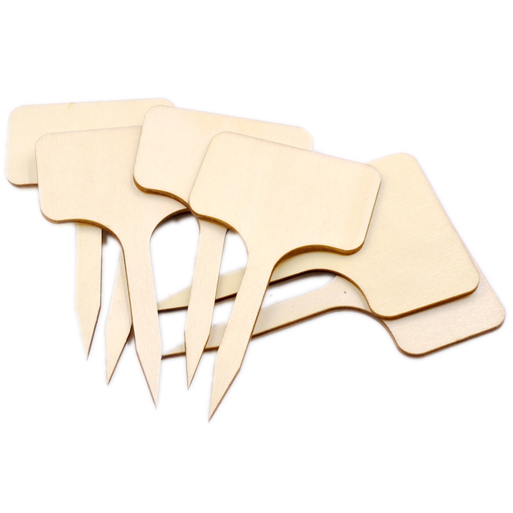 [Hot]❋ Set 50 Thẻ Gỗ Gắn Chậu Cây