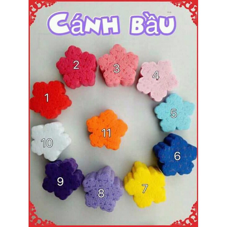 Combo hoa gấm cánh bầu. cánh cúc