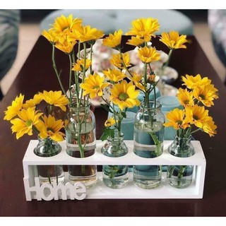 {Bán giá gốc} Kệ hoa kèm 5 lọ thủy tinh Home / Love