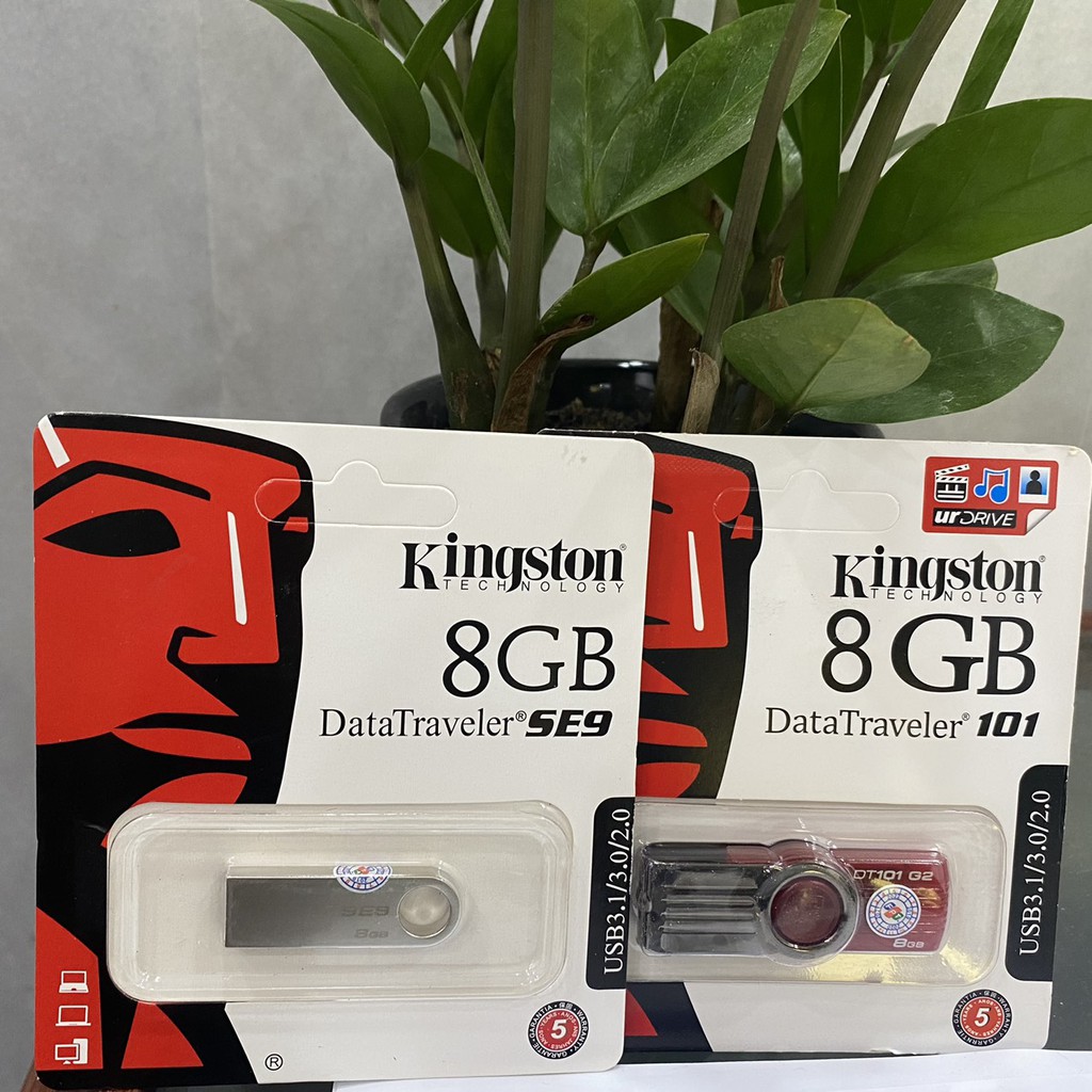 USB 8GB KINGSTON 2.0 DataTraveler 101 - HÀNG NK