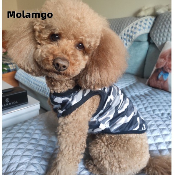 Áo Khoác Sát Nách Phối Lưới Thoáng Khí Cho Cún Cưng