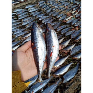 (SHIP HOẢ TỐC 1H) Cá thu nguyên con ướp 500gram