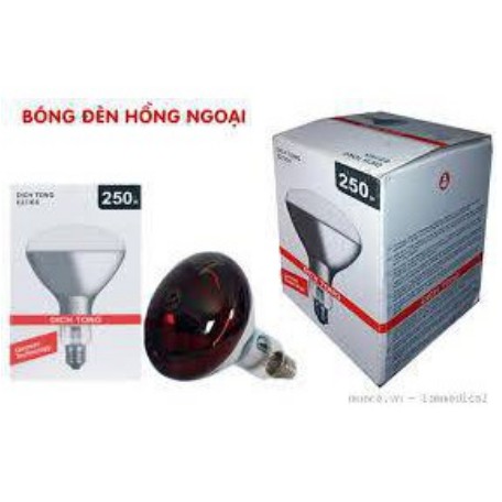 BÓNG ĐÈN HỒNG NGOẠI DỊCH TÔNG E27/ES 250W