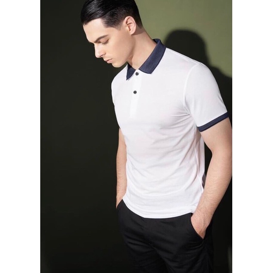 Áo thun nam có cổ POLO cao cấp vải cá sấu co giản 4 chiều CVC 8 màu  - VGP Store