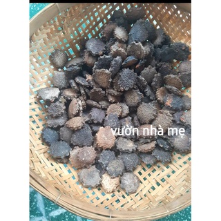 20 hạt gấc giống