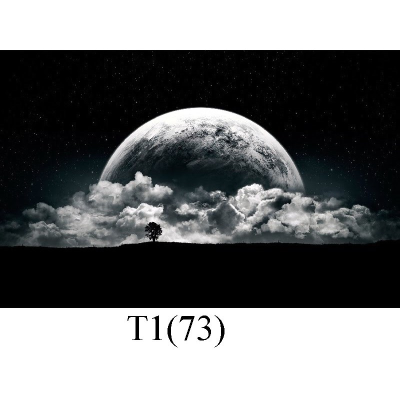 Tranh 3D dán bể cá
