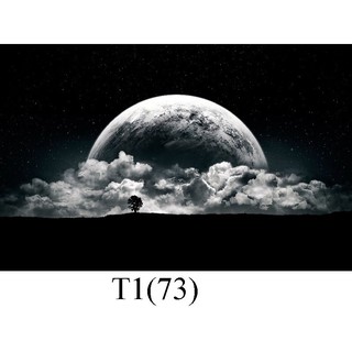 Tranh 3D dán bể cá