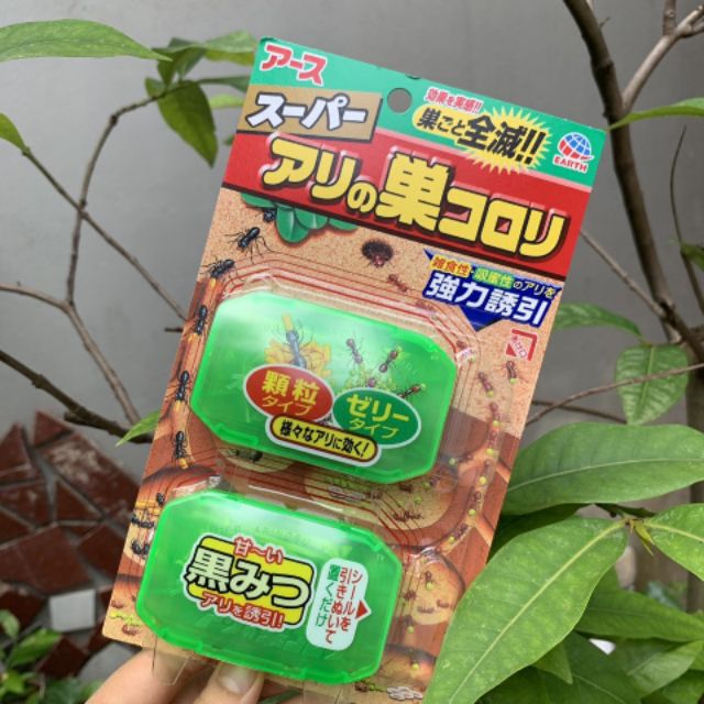 Thuốc diệt kiến của nhật