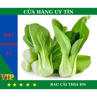 HOTHạt Giống RAU CẢI THÌA HN Năng Suất, Dinh Dưỡng Cao - MUA 4 TẶNG 1