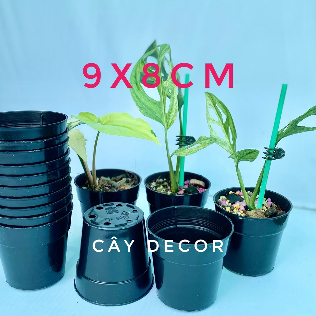 COMBO 20C Chậu nhựa 9x8cm, size nhỏ dùng ươm cây, trồng sen đá