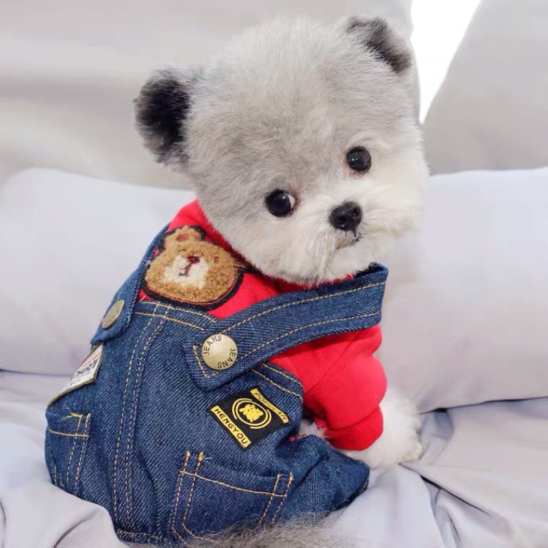 Quần áo thú cưng, áo khoác mùa đông 4 chân cho chó mèo nỉ phối jean