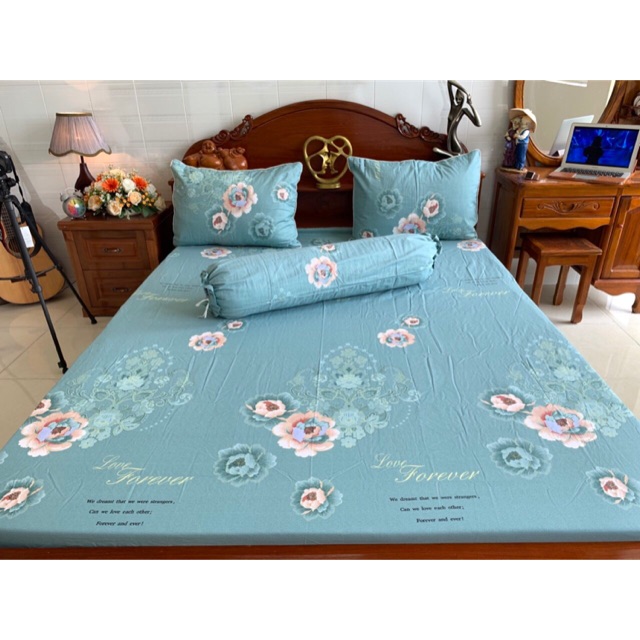 Drap cotton hàn quốc