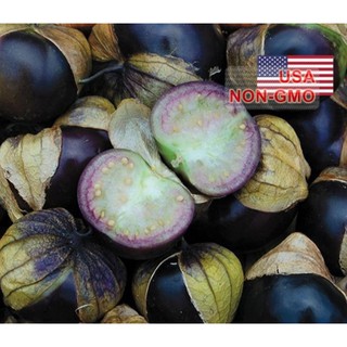 Hạt Giống Cà Chua Tomatillo - Tím (Physalis ixocarpa)