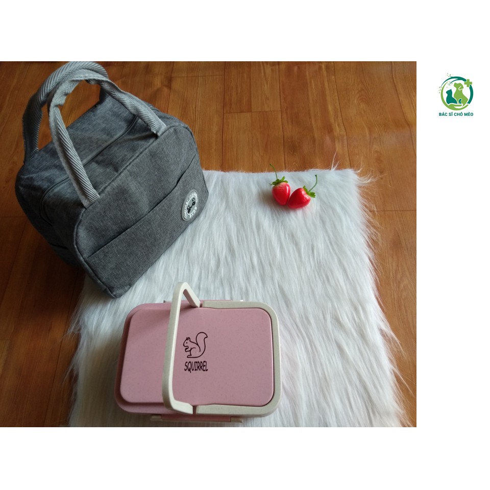 [HÌNH THẬT] Hộp cơm Văn Phòng Bento Hàn Quốc xinh xắn cam kết 100% y hình