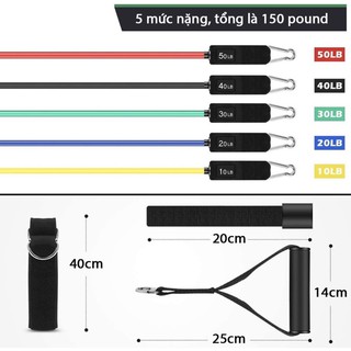 Bộ 5 dây kháng lực tập gym , 2 quấn cổ chân, 2 tay cầm kèm túi đựng Elite Sport