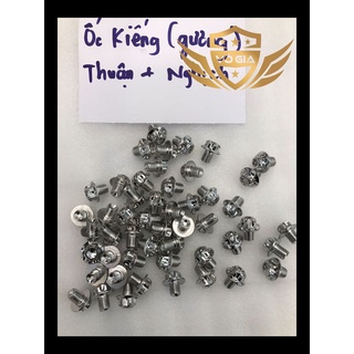 Ốc Chân Gương Salaya Inox 304 10li1 Gắn Nhiều Loại Xe