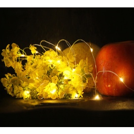 Đèn đom đóm đèn nhấp nháy đèn trang trí 1m kèm pin 3 kiểu sáng