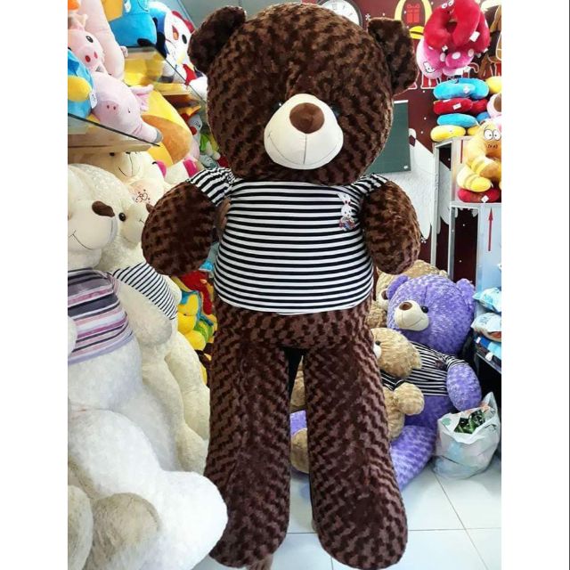 TEDDY KHỔ VẢI 1M6 CAO 1M4 (ẢNH THẬT 100%)