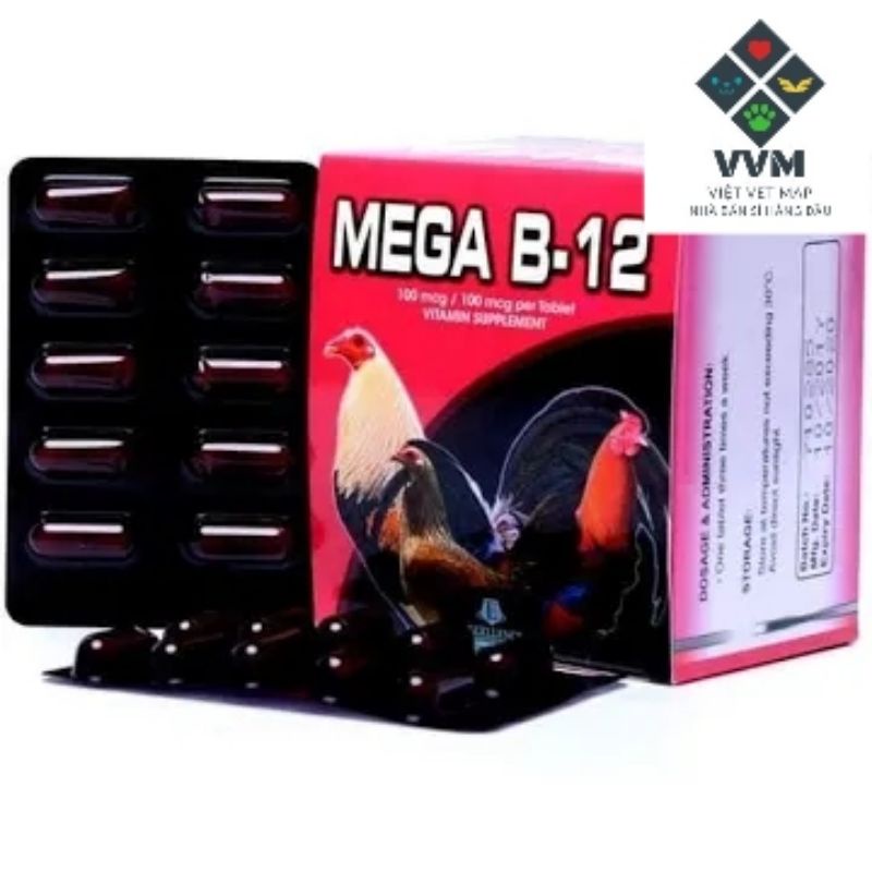 Viên bổ máu gà đá Mega B12 [hộp 100 viên, vĩ 10 viên]