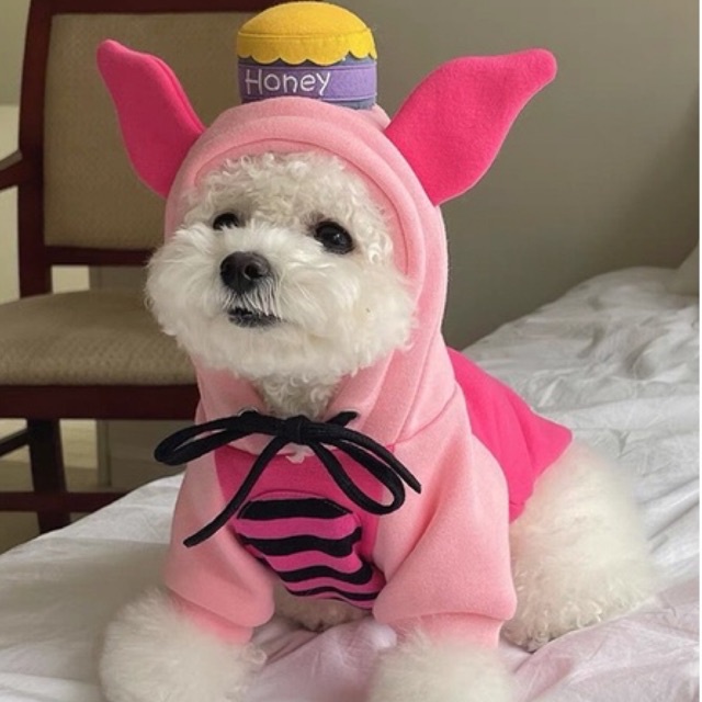 Áo nỉ hoodie cho chó mèo có mũ honey