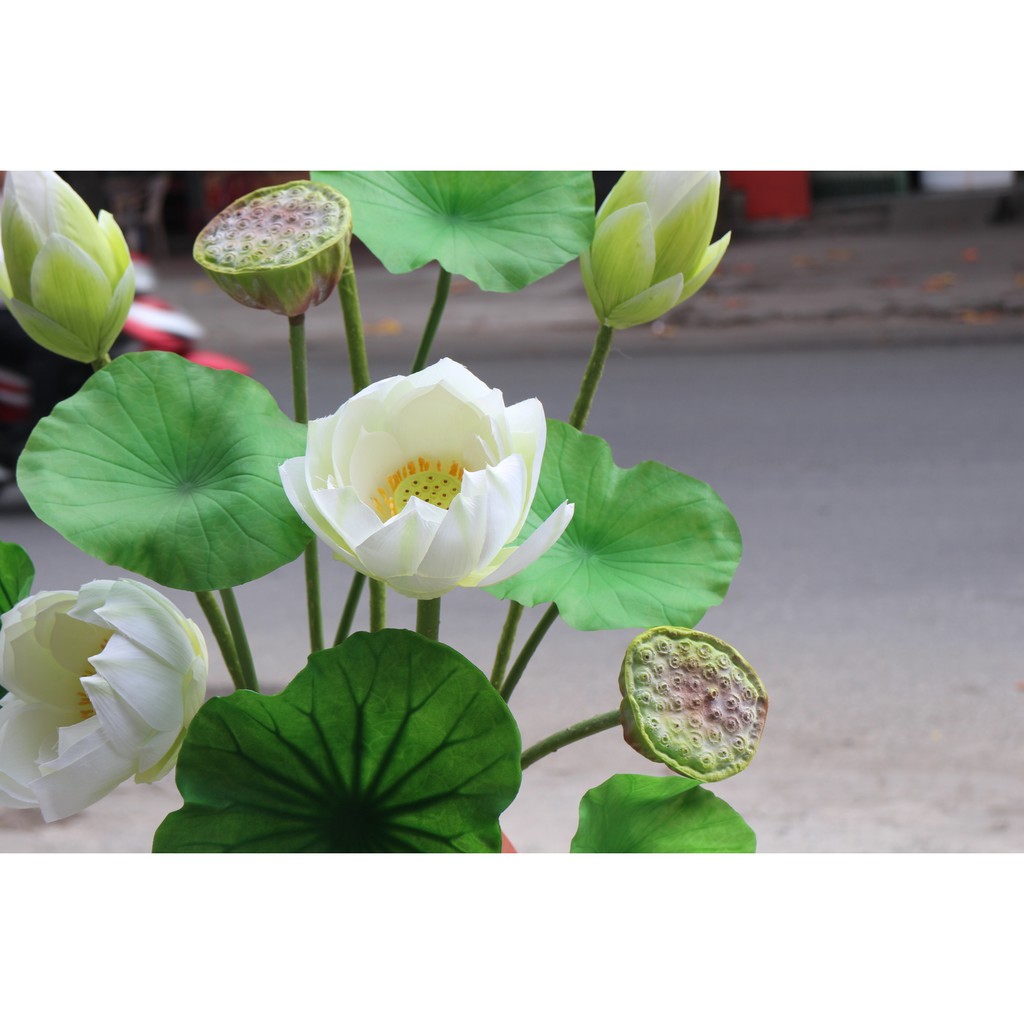 Hoa sen giả cỡ lớn trang trí nhà cửa, bàn thờ, hồ bơi, hội trường, sân vườn