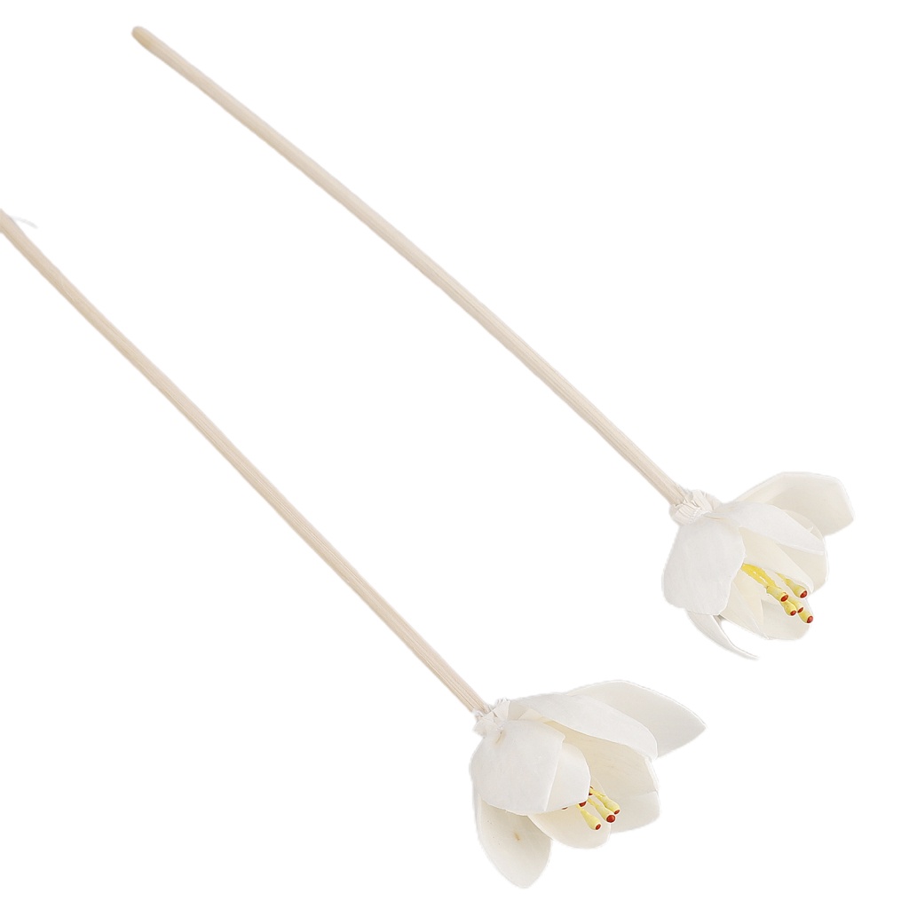 Set 5 Que Gỗ Khuếch Tán Hương Thơm Thay Thế Cho Spa / Nhà Ở / Văn Phòng