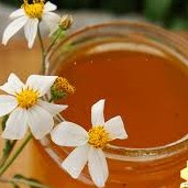 mật ong hoa cỏ kim (xuyến chi) 1400gam | BigBuy360 - bigbuy360.vn