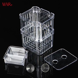 Hộp nuôi cá nhỏ cách ly Acrylic MAR