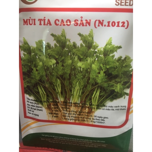 HẠT GIỐNG MÙI TÍA CAO SẢN