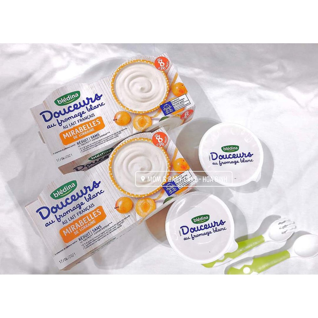 Sữa chua BLEDINA - Váng sữa NESTLE cho trẻ từ 6 tháng