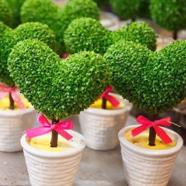 1 lạng hạt giống thanh long