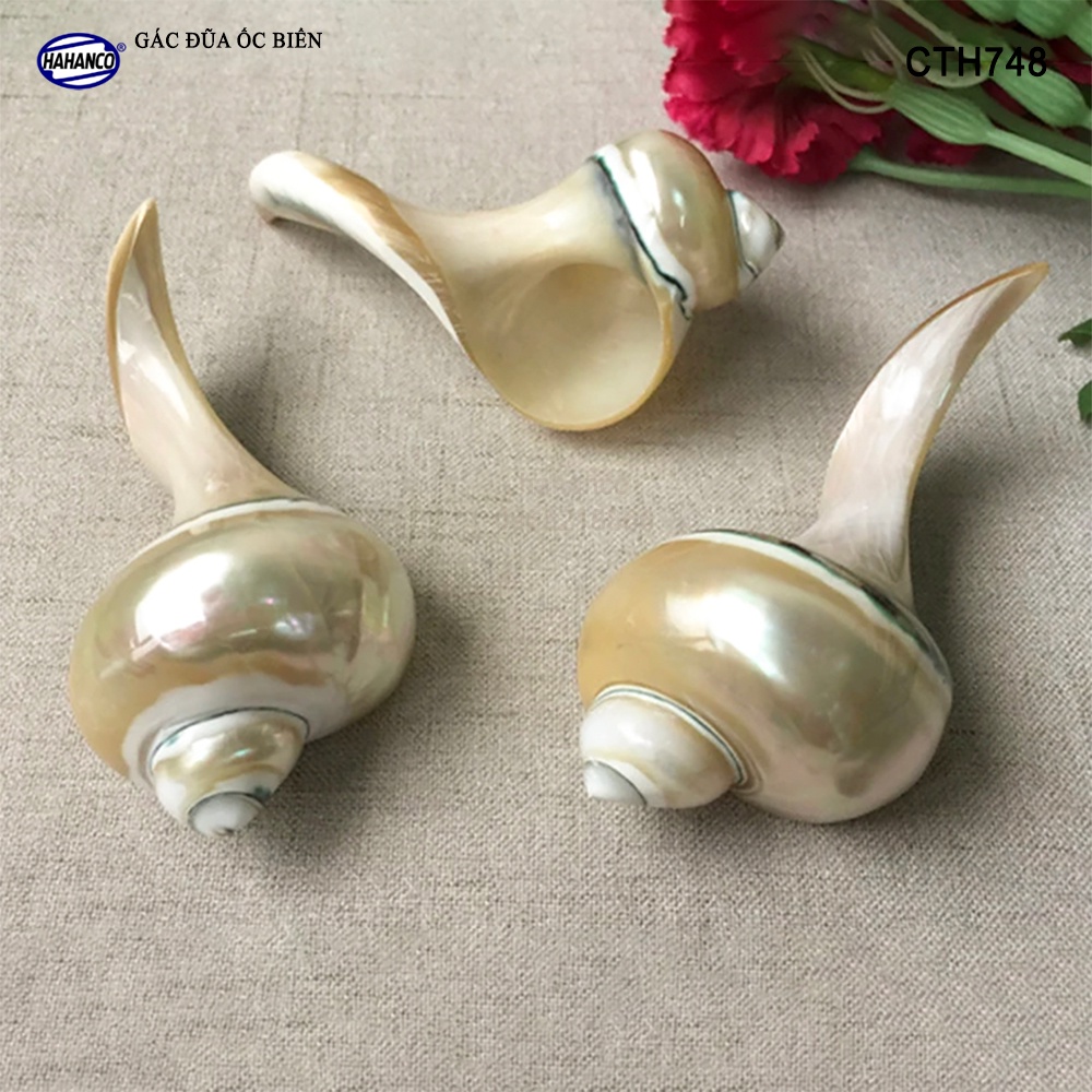Gác Đũa Ốc Biển Độc Đáo HAHANCO (01 Chiếc) Nghệ Thuật Ẩm Thực Việt - CTH748