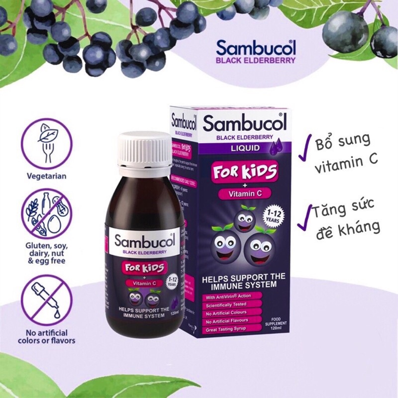 Siro đề kháng sambuco