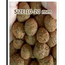 1kg Viên Đất Nung, Sỏi Nhẹ Đặng Sfam Đặng Gia Trang, Size từ 5-20mm Trộn Đất, Lót Đáy Chậu,...