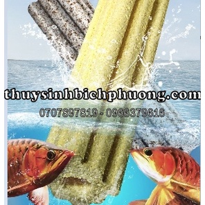 SỨ THANH LỌC ĐA GIÁC MUỐI TIÊU - CHUYÊN LỌC BỤI NUÔI VI SINH LÀM TRONG NƯỚC CHO HỒ CÁ THUỶ SINH
