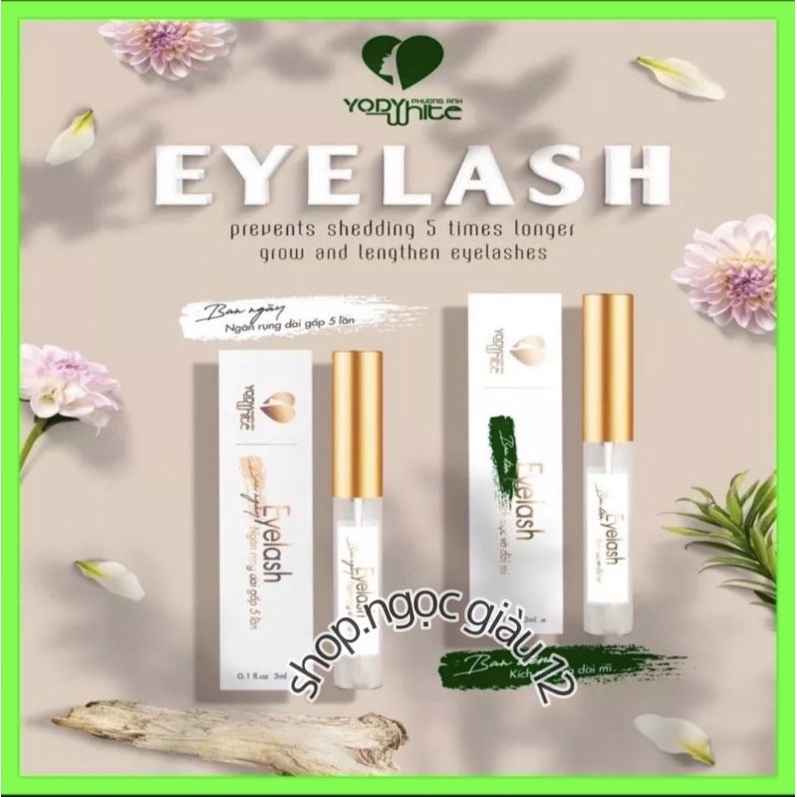 KÍCH MỌC VÀ DÀI MI