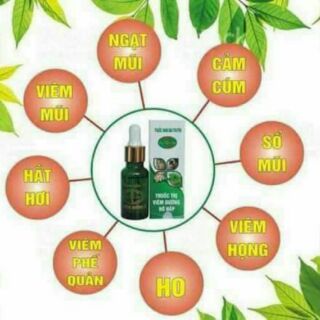 [100% THIÊN NHIÊN] Tinh Dầu Dạ Thảo Liên Trị Viêm Hô Hấp Cảm Cúm Lọ 5ml