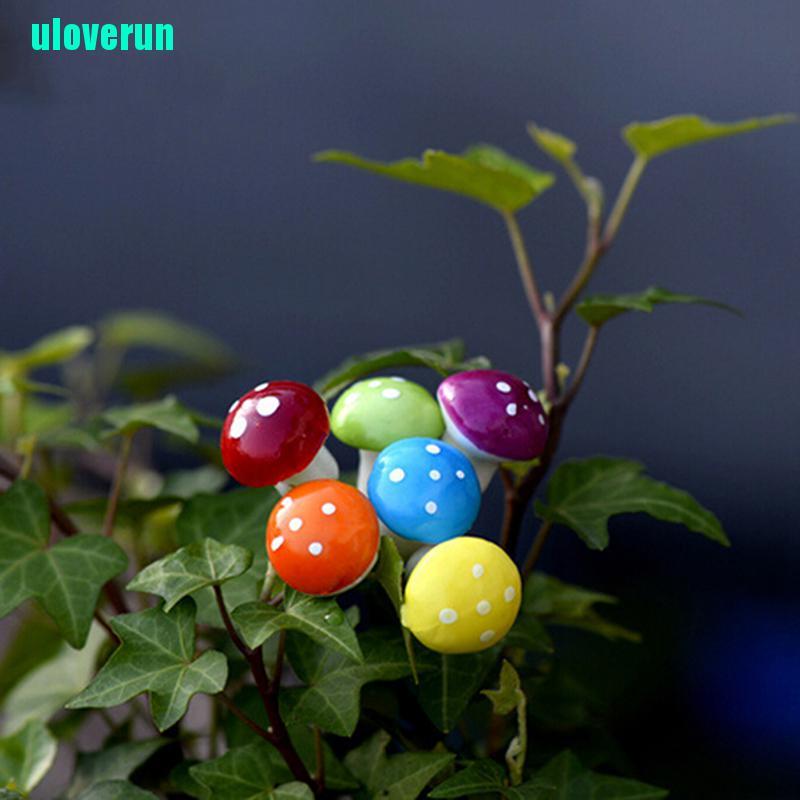 Cây Nấm Mini Trang Trí Sân Vườn Xinh Xắn